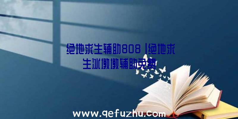 「绝地求生辅助808」|绝地求生冰墩墩辅助免费